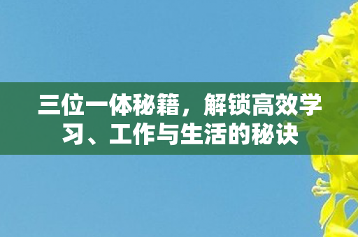 三位一体秘籍，解锁高效学习、工作与生活的秘诀