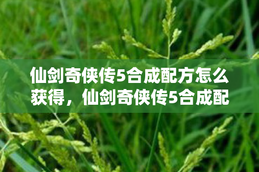 仙剑奇侠传5合成配方怎么获得，仙剑奇侠传5合成配方全解析