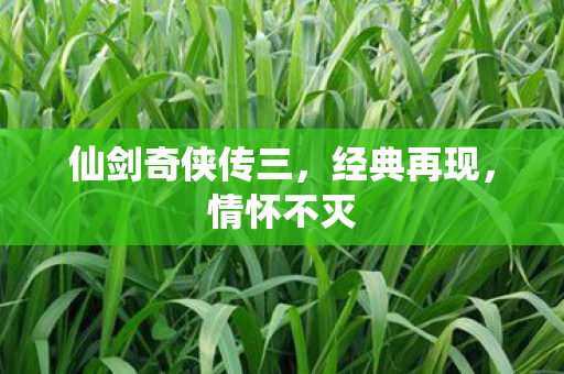 仙剑奇侠传三，经典再现，情怀不灭