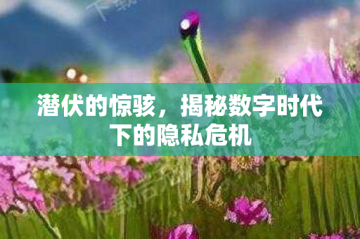潜伏的惊骇，揭秘数字时代下的隐私危机