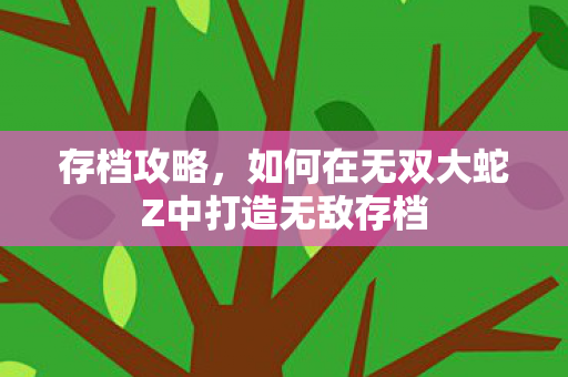 存档攻略，如何在无双大蛇Z中打造无敌存档