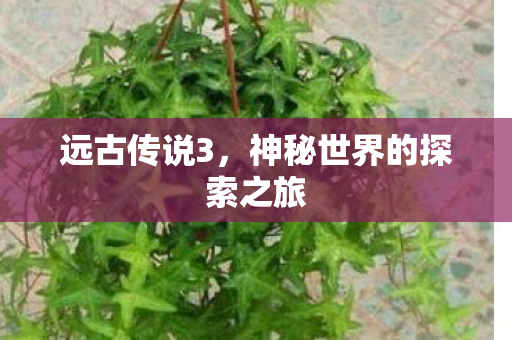 远古传说3，神秘世界的探索之旅