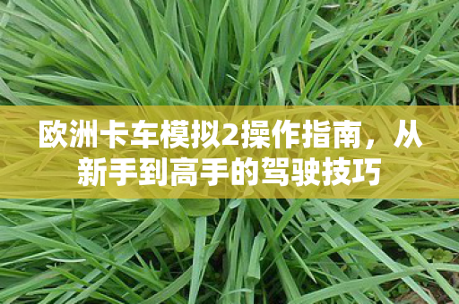 欧洲卡车模拟2操作指南，从新手到高手的驾驶技巧