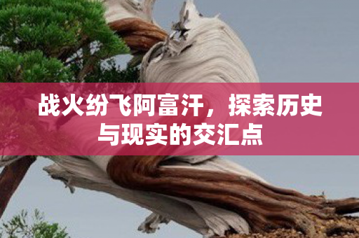 战火纷飞阿富汗，探索历史与现实的交汇点