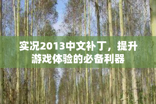 实况2013中文补丁，提升游戏体验的必备利器