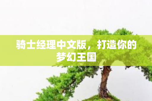 打造你的梦幻王国图片