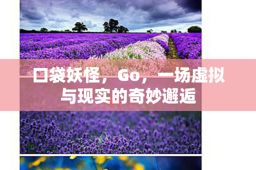 一场虚拟与现实的奇妙邂逅图片