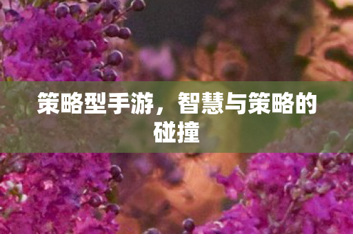 策略型手游，智慧与策略的碰撞