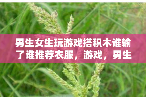 男生女生玩游戏搭积木谁输了谁推荐衣服，游戏，男生女生共同探索的数字世界