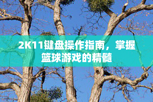 2K11键盘操作指南图片