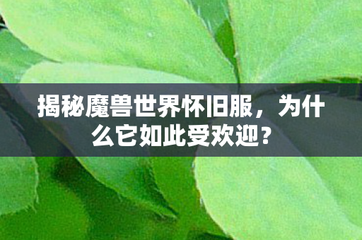 揭秘魔兽世界怀旧服图片