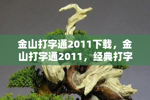 金山打字通2011下载，金山打字通2011，经典打字软件的传承与革新
