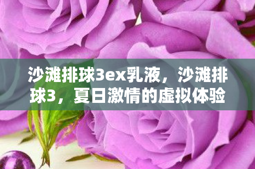 沙滩排球3ex乳液，沙滩排球3，夏日激情的虚拟体验