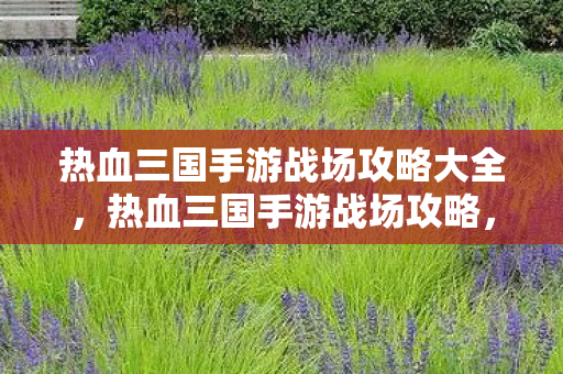 热血三国手游战场攻略大全，热血三国手游战场攻略，打造不败神话