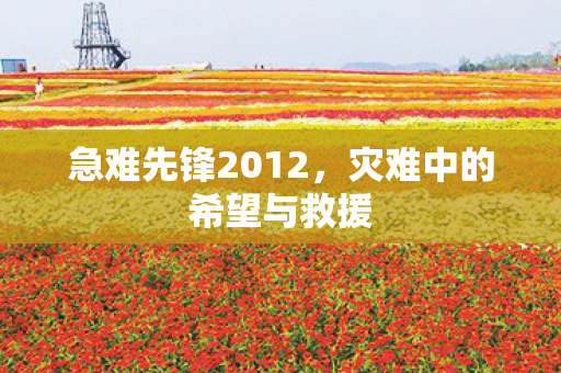 急难先锋2012，灾难中的希望与救援