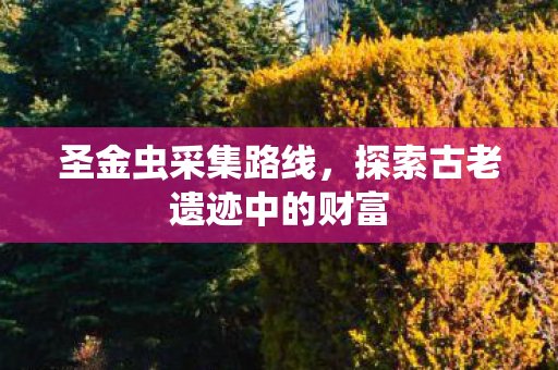圣金虫采集路线，探索古老遗迹中的财富