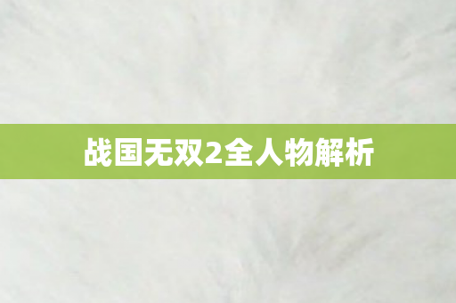 战国无双2全人物解析