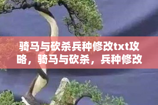 骑马与砍杀兵种修改txt攻略，骑马与砍杀，兵种修改全解析