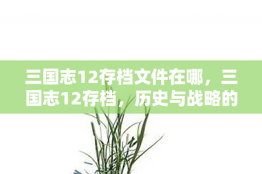 三国志12存档文件在哪图片