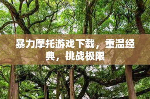 暴力摩托游戏下载，重温经典，挑战极限