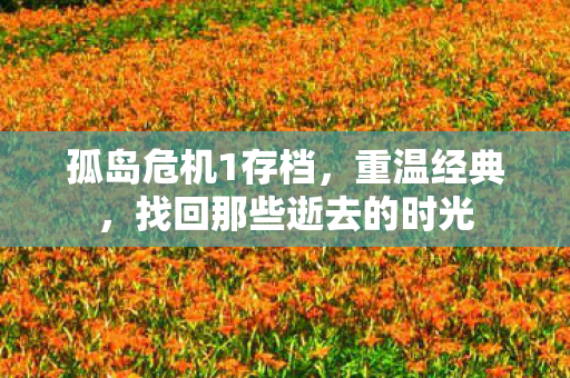 孤岛危机1存档，重温经典，找回那些逝去的时光