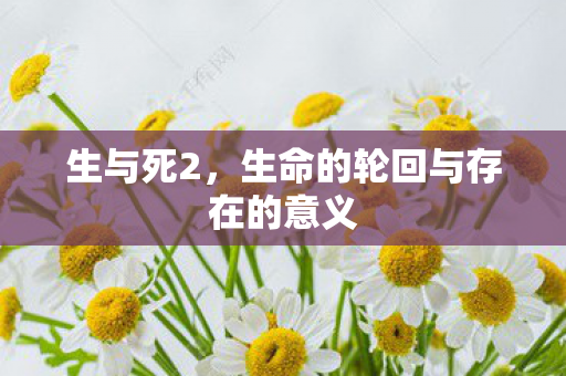 生与死2，生命的轮回与存在的意义