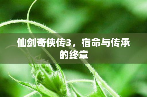 仙剑奇侠传3，宿命与传承的终章