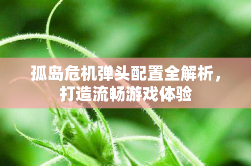 孤岛危机弹头配置全解析，打造流畅游戏体验
