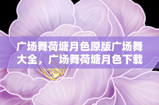 广场舞荷塘月色原版广场舞大全图片