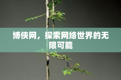 探索网络世界的无限可能图片