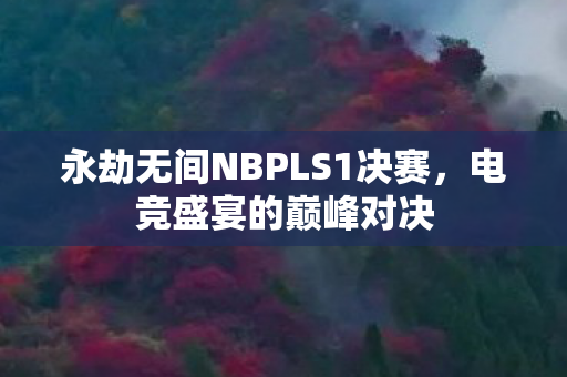 永劫无间NBPLS1决赛，电竞盛宴的巅峰对决
