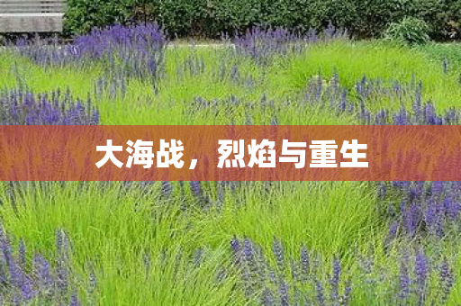 大海战，烈焰与重生