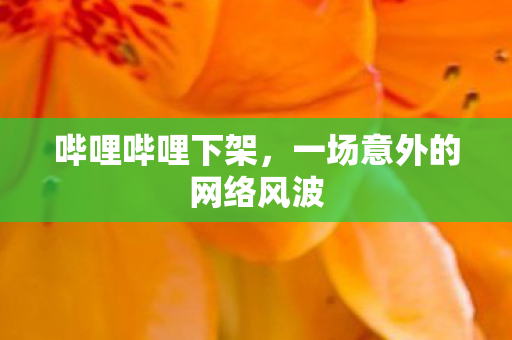 哔哩哔哩下架，一场意外的网络风波