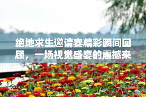 绝地求生邀请赛精彩瞬间回顾，一场视觉盛宴的震撼来袭