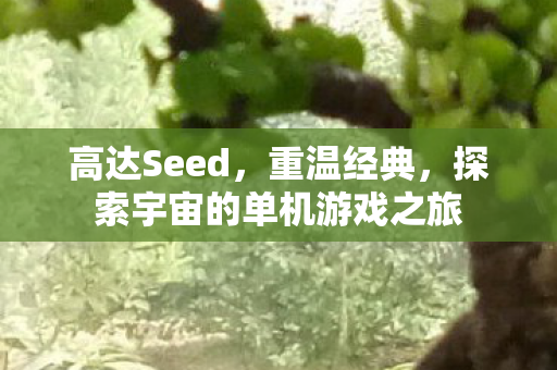 高达Seed，重温经典，探索宇宙的单机游戏之旅