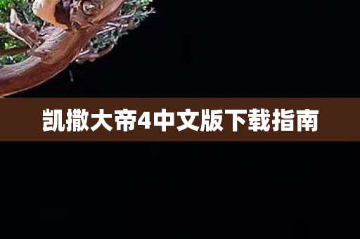 凯撒大帝4中文版下载指南