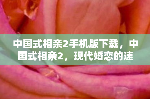 中国式相亲2手机版下载，中国式相亲2，现代婚恋的速食时代