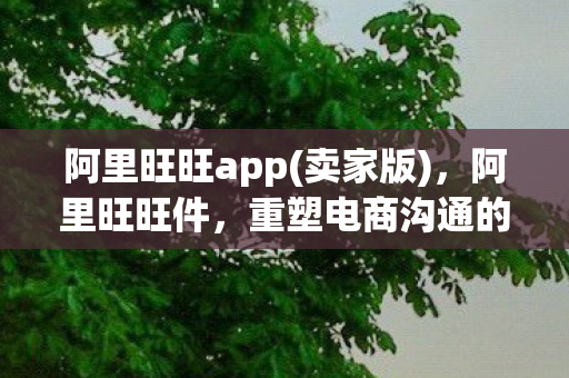 阿里旺旺app(卖家版)，阿里旺旺件，重塑电商沟通的桥梁