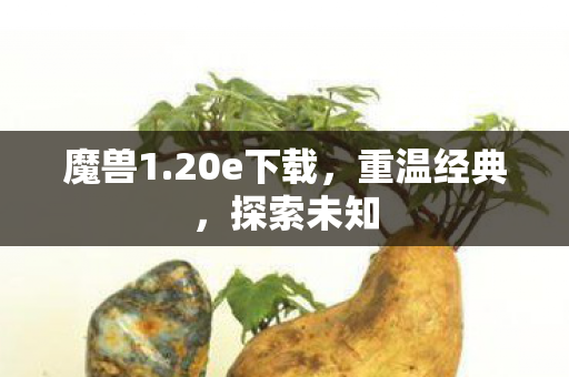 魔兽1.20e下载，重温经典，探索未知