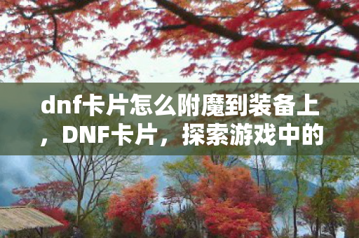dnf卡片怎么附魔到装备上，DNF卡片，探索游戏中的神秘宝藏
