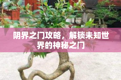 阴界之门攻略，解锁未知世界的神秘之门