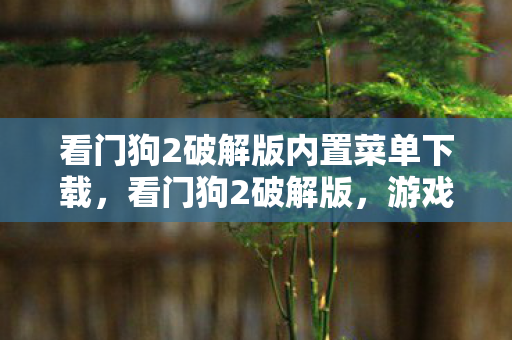 看门狗2破解版内置菜单下载，看门狗2破解版，游戏破解背后的灰色地带
