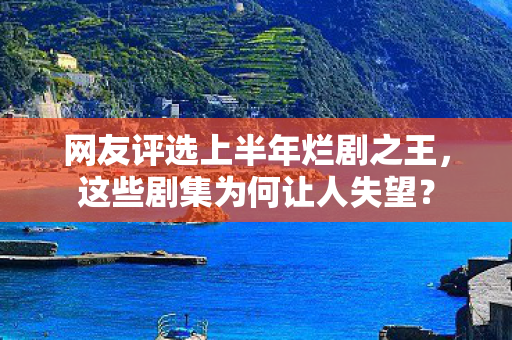 网友评选上半年烂剧之王图片