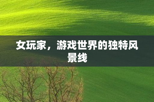 游戏世界的独特风景线图片