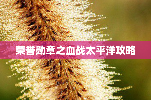 荣誉勋章之血战太平洋攻略