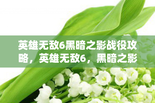 英雄无敌6黑暗之影战役攻略，英雄无敌6，黑暗之影的传奇冒险