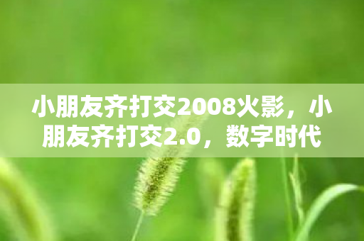 小朋友齐打交2008火影，小朋友齐打交2.0，数字时代的儿童教育新探索