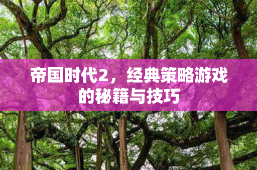 帝国时代2，经典策略游戏的秘籍与技巧