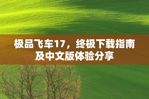 极品飞车17，终极下载指南及中文版体验分享