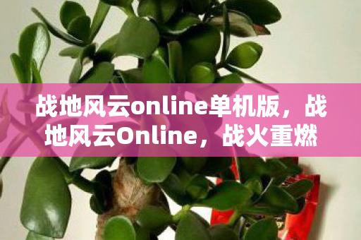 战地风云online单机版，战地风云Online，战火重燃的数字战场